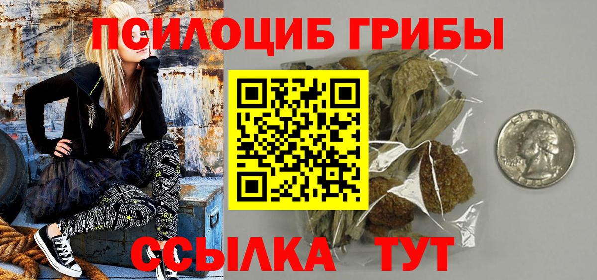 хочу   Вход с VPN  Гусиноозёрск  Галлюциногенные грибы Psilocybine cubensis 